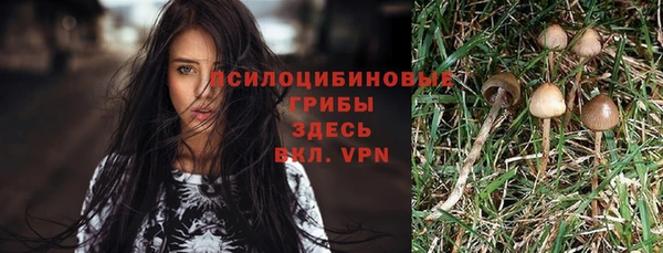 jwh Богородицк