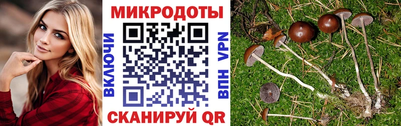 гидра сайт  Бугуруслан  Галлюциногенные грибы прущие грибы 